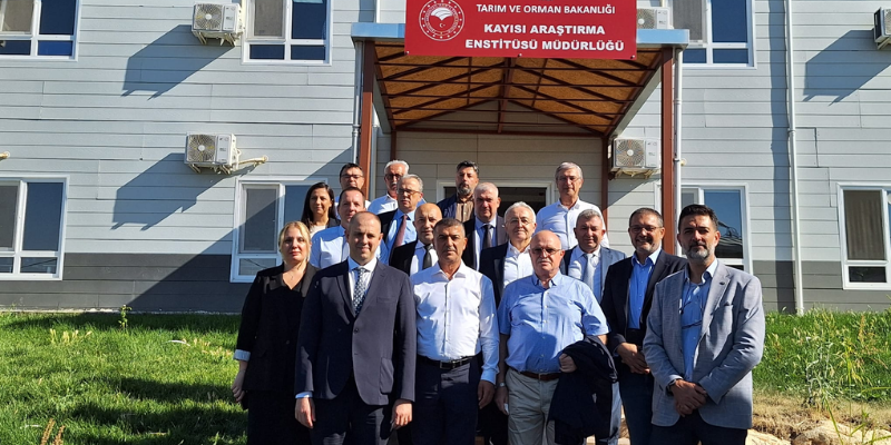 Tarladan küresel pazara Malatya kayısısı 3 Türkiye Kuru Meyve ve Mamulleri İhracatçı Birlikleri Sektör Kurulu