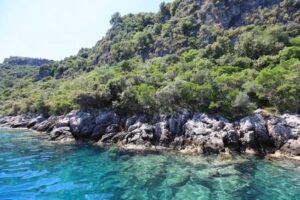 images 1 17