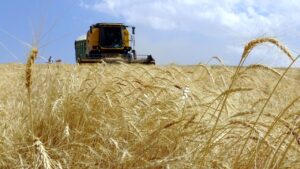 Macaristan-Türkiye ilişkilerinde stratejik adımlar 3 tarim 2433319