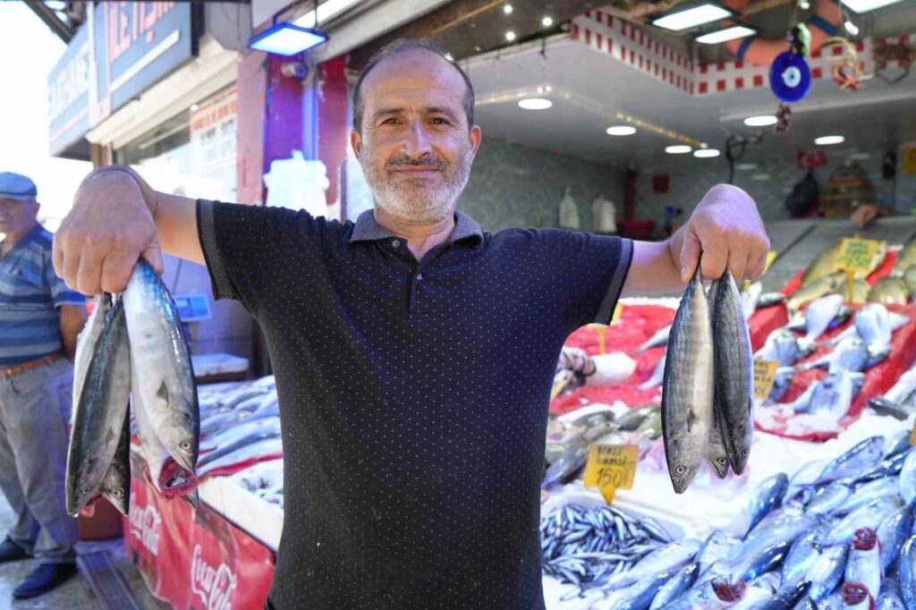 Karadeniz'de palamut fışkırıyor: Tezgahlarda bereket başladı 3 20260819aw770508 0