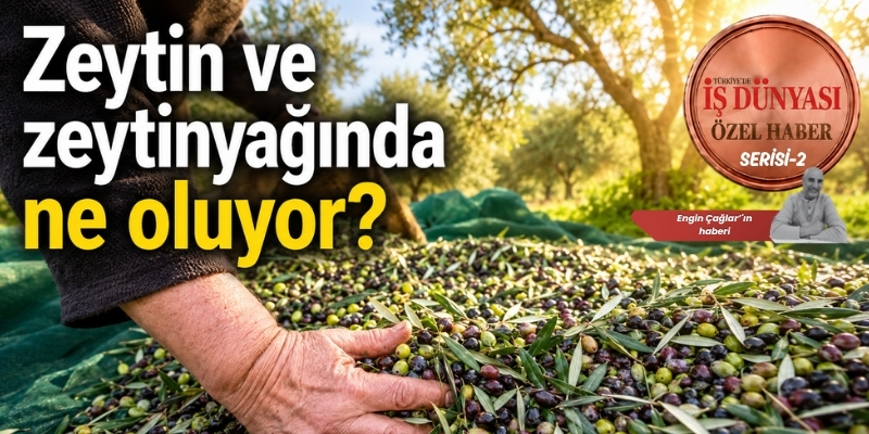 Reşit Özer’den zeytinyağında acil müdahale çağrısı 3 Türkiye’nin coğrafi işaretli zeytinyağlarıyla öne çıkan merkezi Milas’ta, sektörün geleceğine ilişkin kritik uyarılar yükseldi