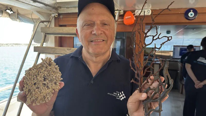 Türkiye kara sularında dev mercan ormanı bulundu 5 bayram hoca mercan1