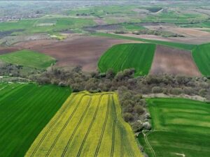 Atıl Hazine ve 2B arazileri üretime açıldı! 4 images 3 3