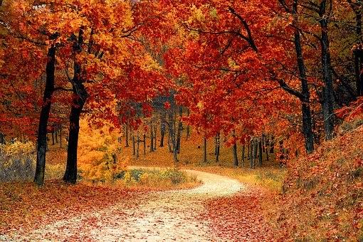 images 4 3