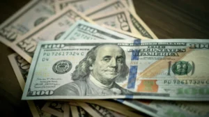merkez bankasi doviz kurlari 9 subat 2026 6487