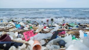 plastik kirliligi