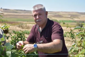 Edirne’de kahve sohbetiyle başlayan ahududu ve böğürtlen yetiştiriciliği alternatif ürün kapısı oldu 3 3af834c8a576510ed004cdacfd2df79b