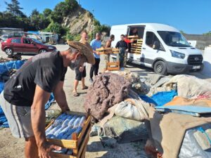Av yasağının kalkmasıyla Zonguldak'ta palamut bereketi: İlk gecede 50 ton balık avlandı 4 av yasagi bitti 1 gece 50 ton palamutla donduler 1813062 202609011334 20260901133455 1