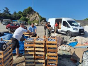 Av yasağının kalkmasıyla Zonguldak'ta palamut bereketi: İlk gecede 50 ton balık avlandı 3 av yasagi bitti 1 gece 50 ton palamutla donduler 1813062 202609011334 20260901133456 2