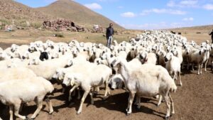 kucukbas kayseri a 2400726
