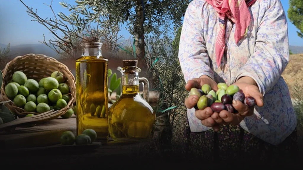 Zeytinde ürün bol, ihracatta rota daralıyor 5 Bağcı Zeytin Yönetim Kurulu Üyesi Saffet Gültekin, zeytinyağındaki 250 bin tonluk stok, ABD pazarındaki ek maliyet ve yükselen üretim giderlerine dikkat çekti. |TÜRKİYE'DE İŞ DÜNYASI DERGİSİ