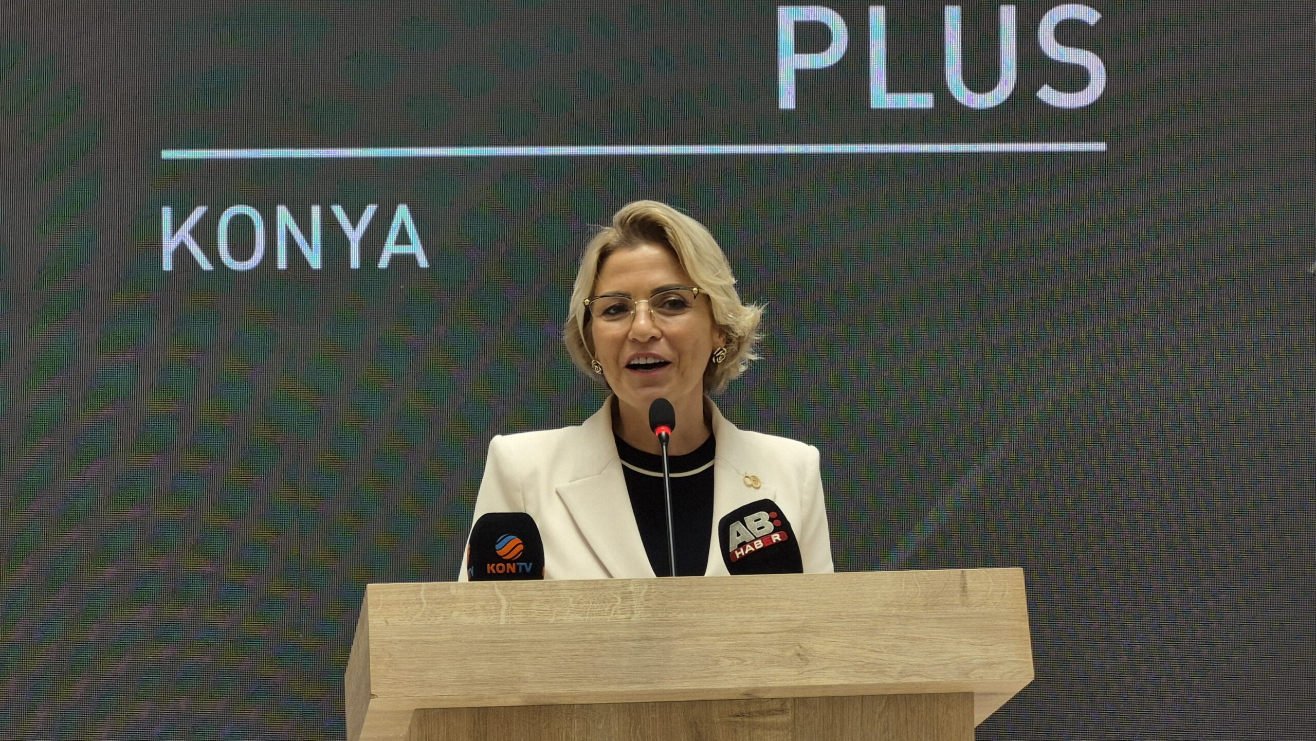 Park Dedeman Plus konaklama anlayışını kültür mirasıyla buluşturuyor 4 Banu Dedeman .JPG scaled
